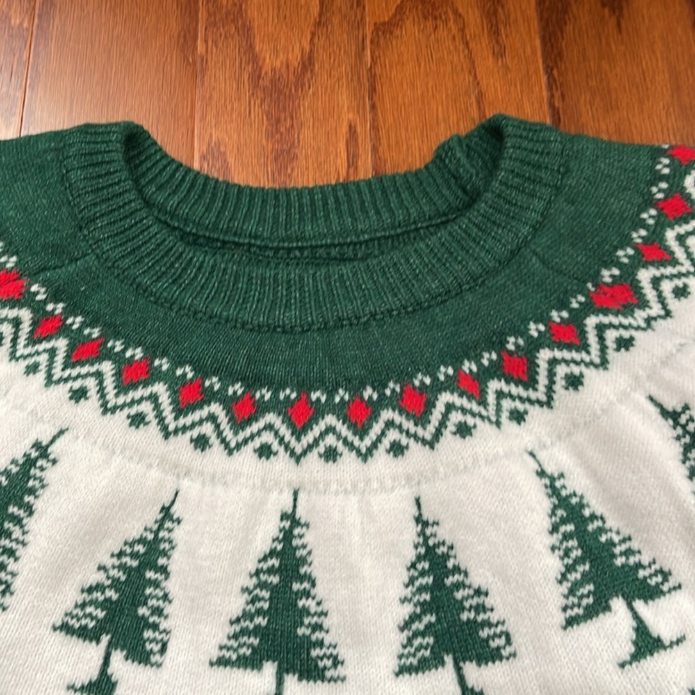 LAST AND FINAL ONE! Northern Pines Evergreen Sweater
English Countryside Sweater - Picture 8 of 16